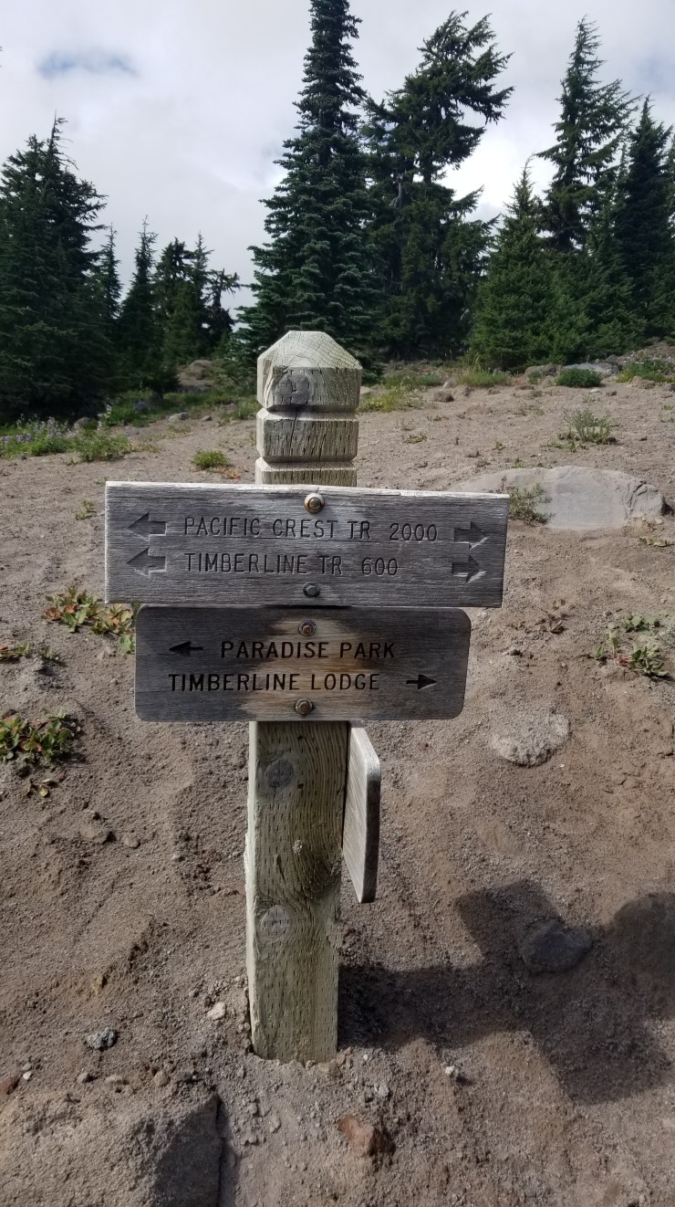 the-beginning-going-clockwise_48564758136_o