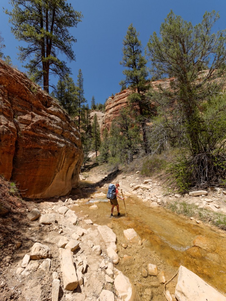 140515_jtsk_8106_d_15922438751_o