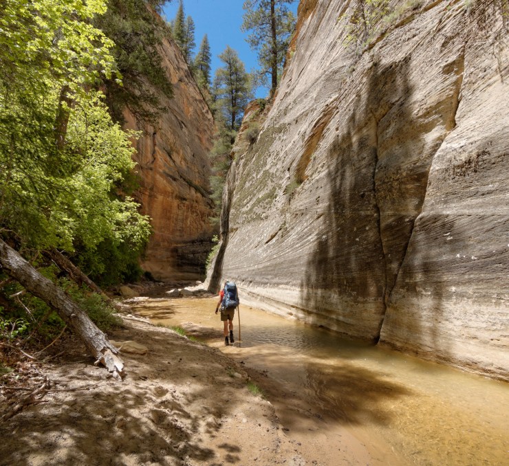 140515_jtsk_8125_d_15302164774_o