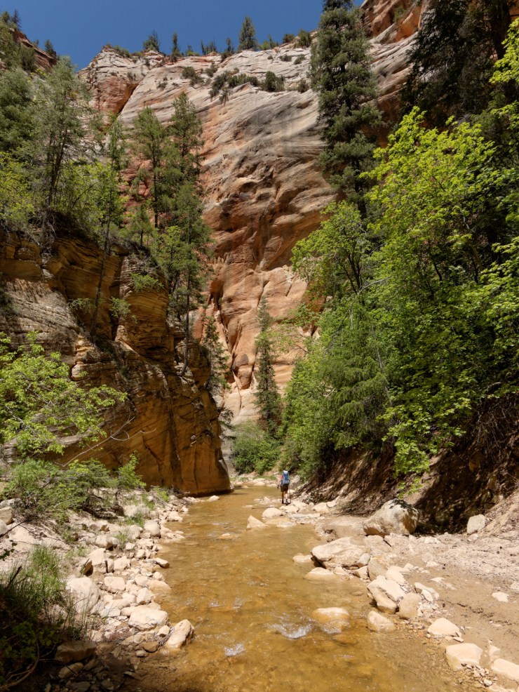 140515_jtsk_8134_d_15738654727_o