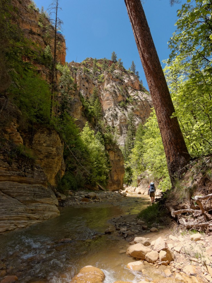 140515_jtsk_8161_d_15736940678_o