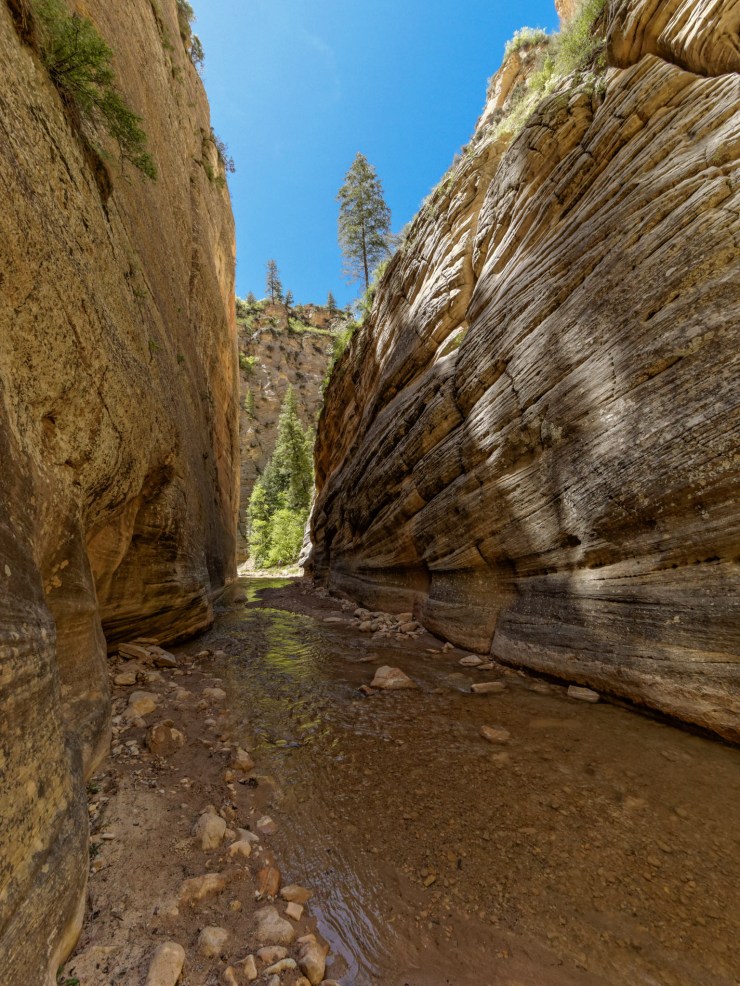 140515_jtsk_8200_d_15302153844_o