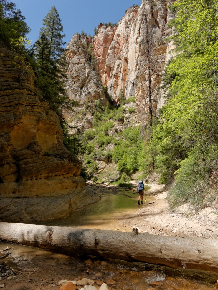 140515_jtsk_8213_d_15737089190_o