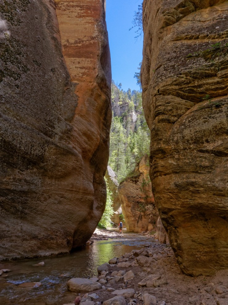 140515_jtsk_8255_d_15924374985_o