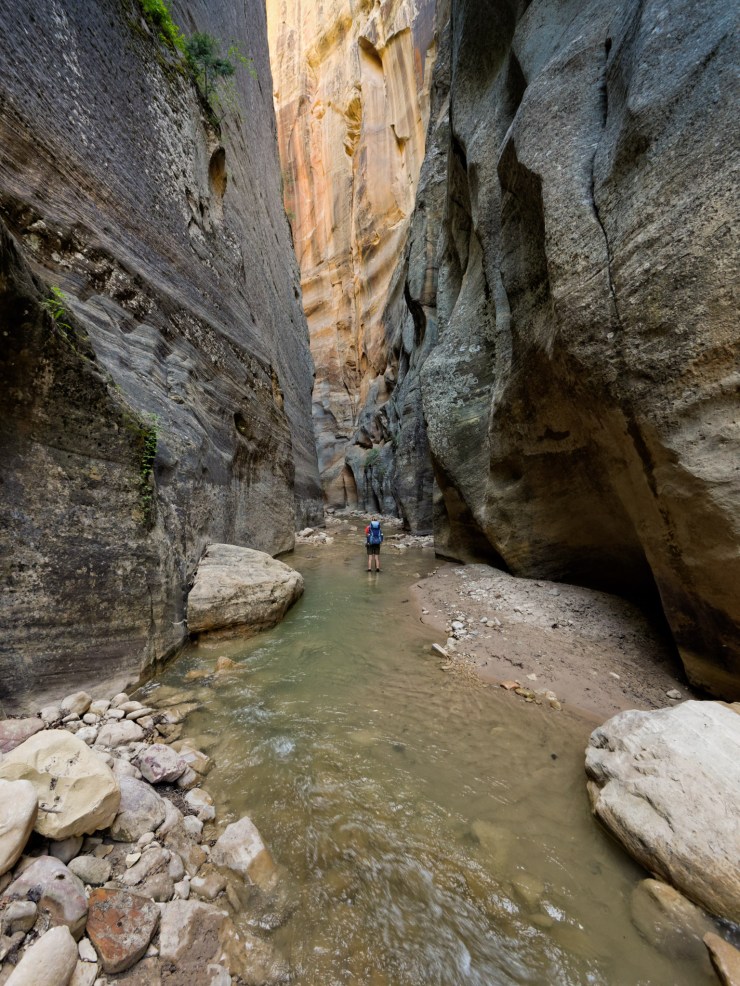 140515_jtsk_8264_d_15736926758_o