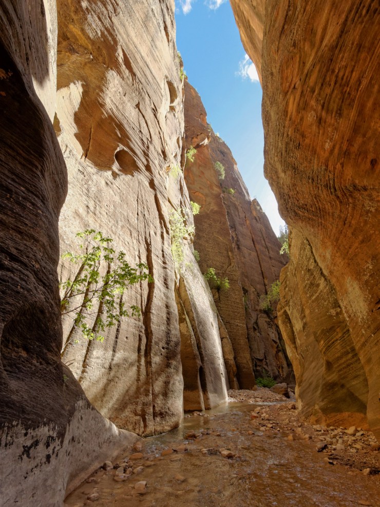 140515_jtsk_8518_d_15737068170_o