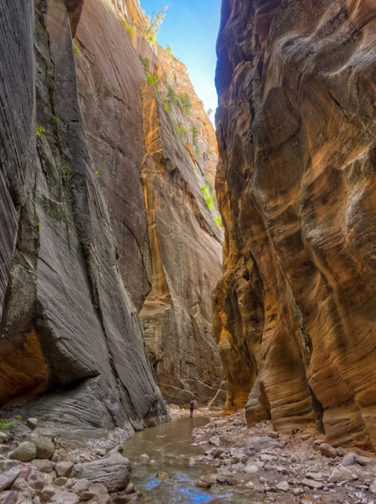 140515_jtsk_8609_dh_15922400101_o