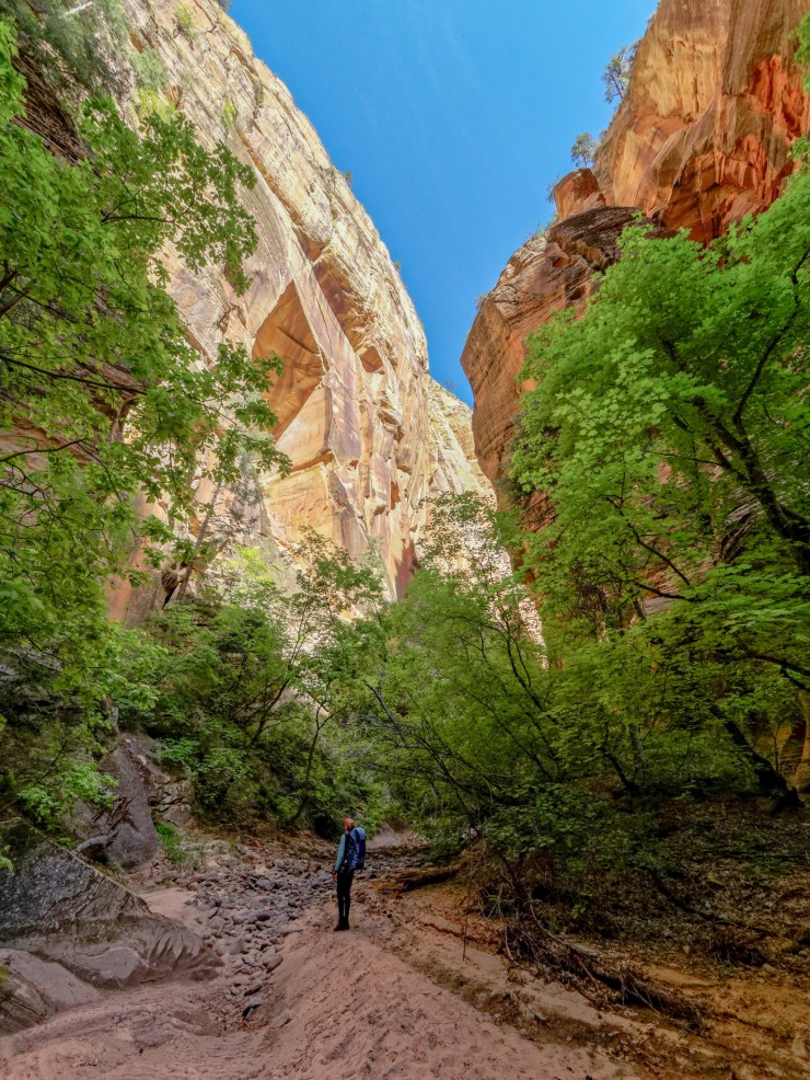 140516_jtsk_9045_d1_15898541616_o