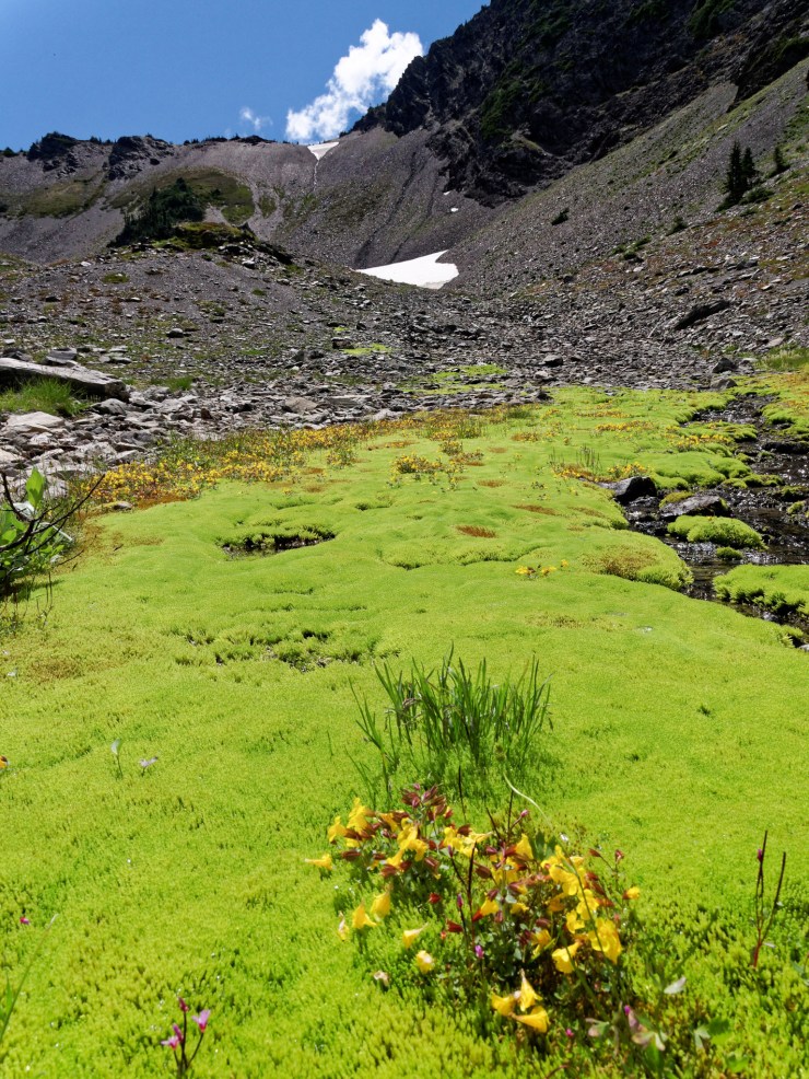 140817_jtsk_7498_d_16678446675_o