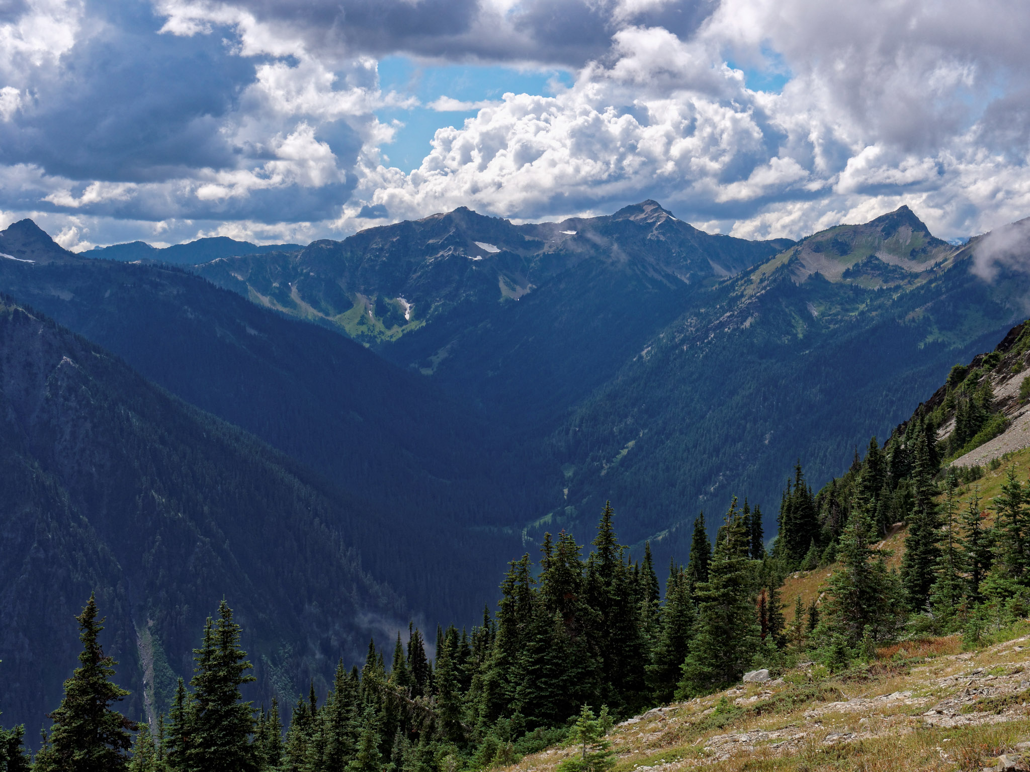 Gray Wolf Pass summit meadow with Mt Anderson in the distance