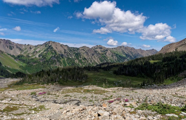 140818_jtsk_7710_d_16677379452_o