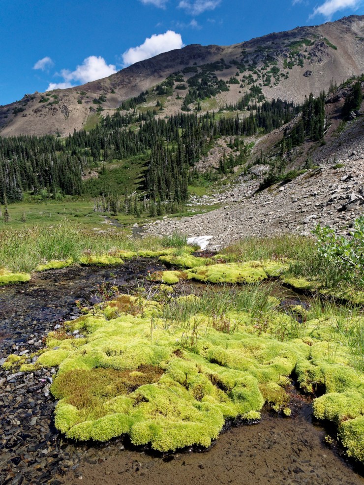 140818_jtsk_7716_d_16490976540_o