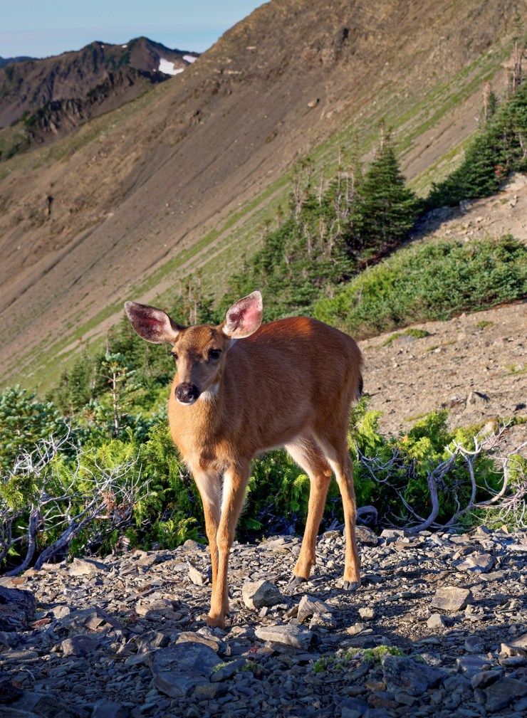 140819_jtsk_7887_d_16058399283_o