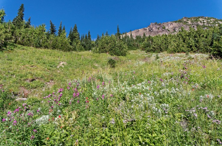 140819_jtsk_7933_d_16490738528_o