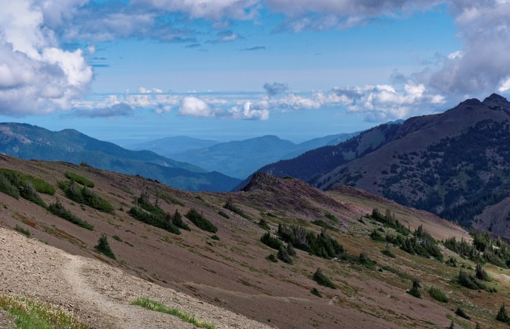 140819_jtsk_7943_d_16678307955_o