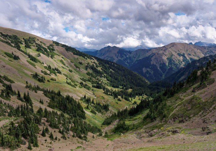 140819_jtsk_7972_d_16652350196_o