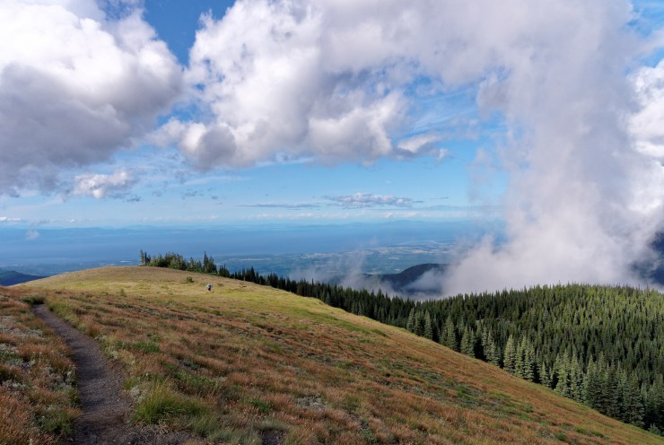 140819_jtsk_8007_d_16470999427_o