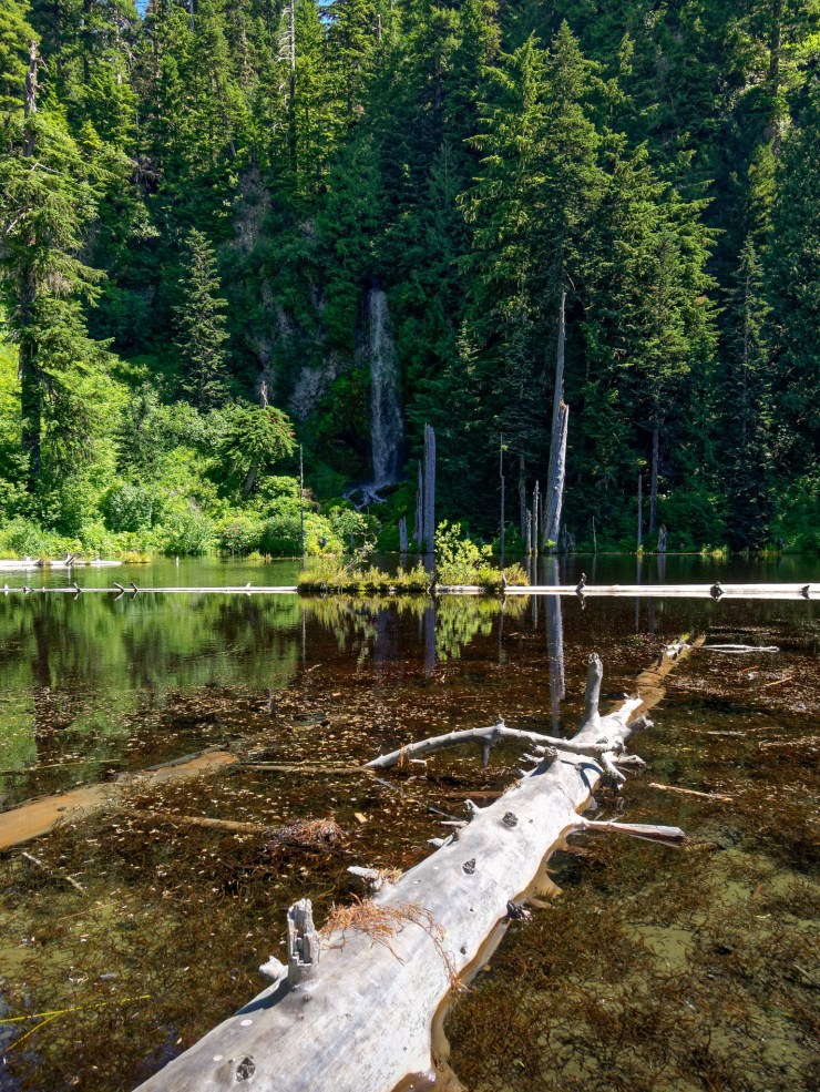 170726_jtsl_0081_d_40035315011_o