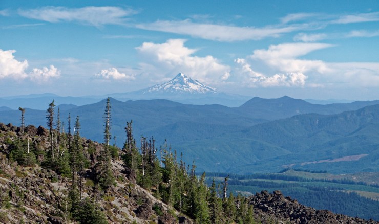 170726_jtsl_0204_d_39324944474_o