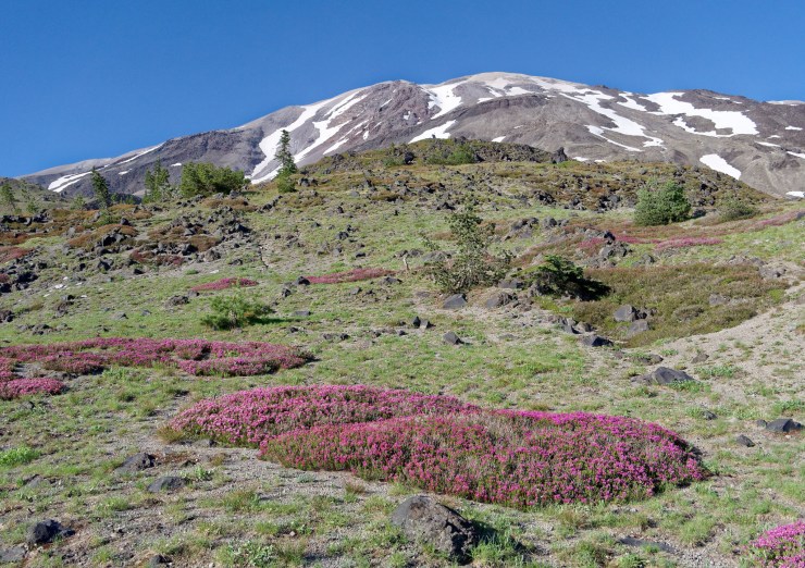 170726_jtsl_0237_d_39324939134_o