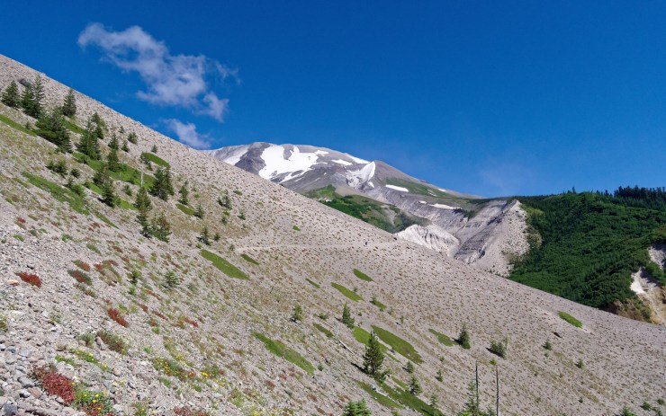 170727_jtsl_0384_d_25163818787_o