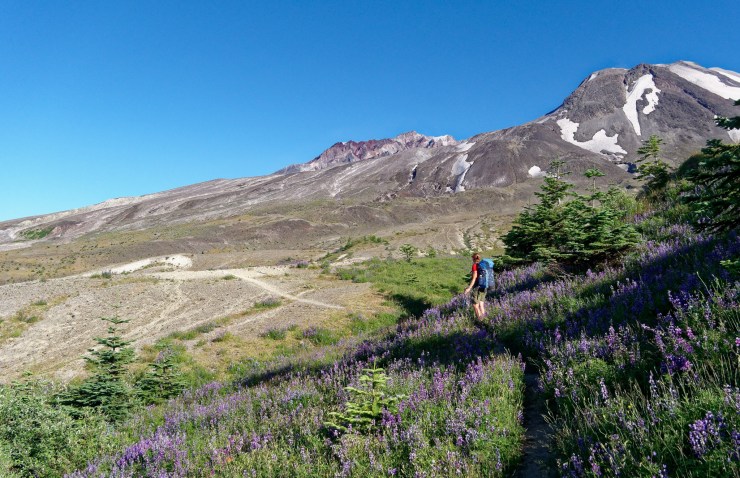 170727_jtsl_0519_d_26162322928_o