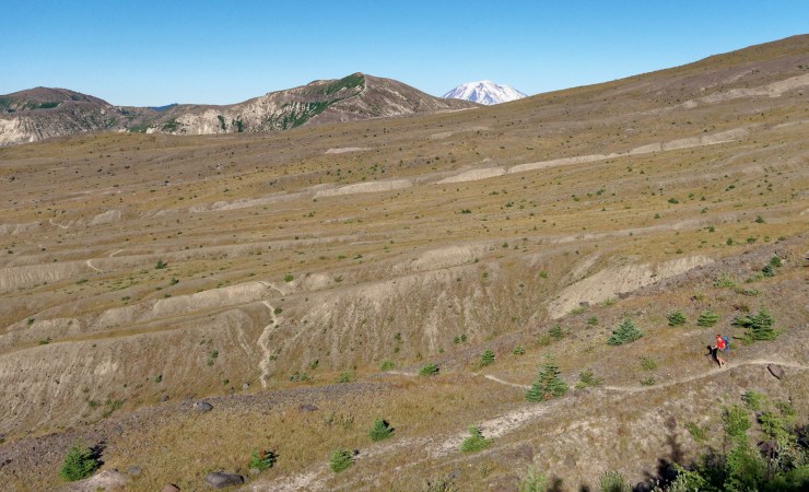 170727_jtsl_0573_d_28256067149_o