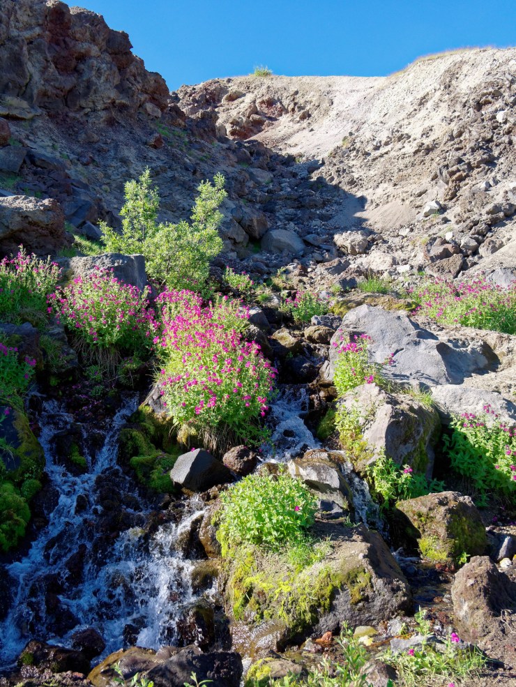 170728_jtsl_0651_d_39324845284_o