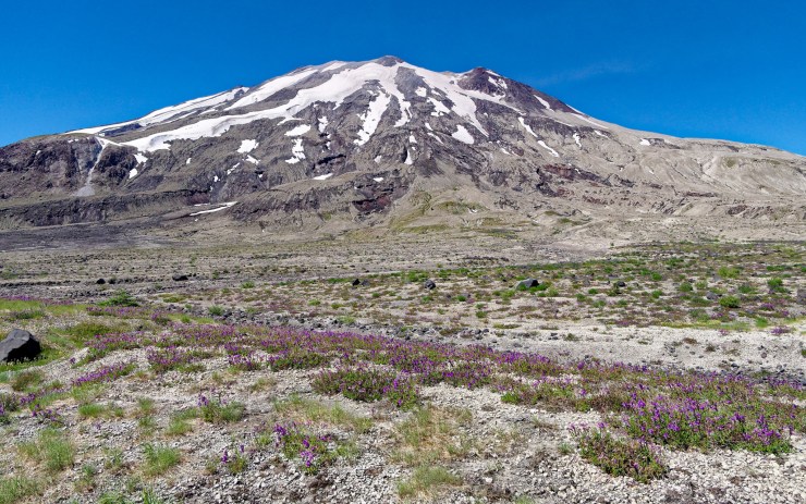 170728_jtsl_0737_d_40002594242_o