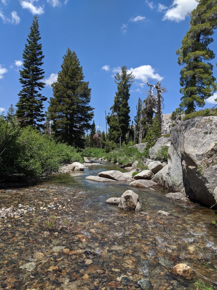 MVIMG_20200702_133829