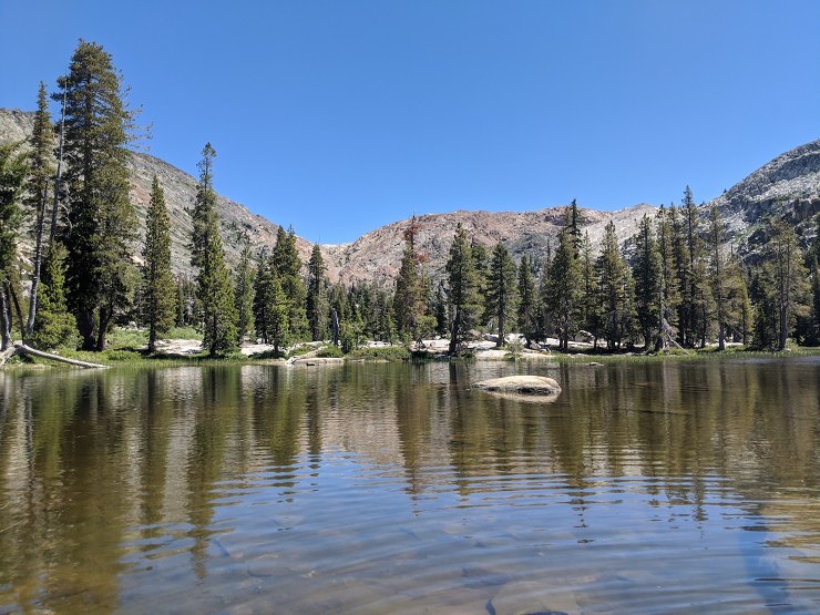 MVIMG_20200704_111954