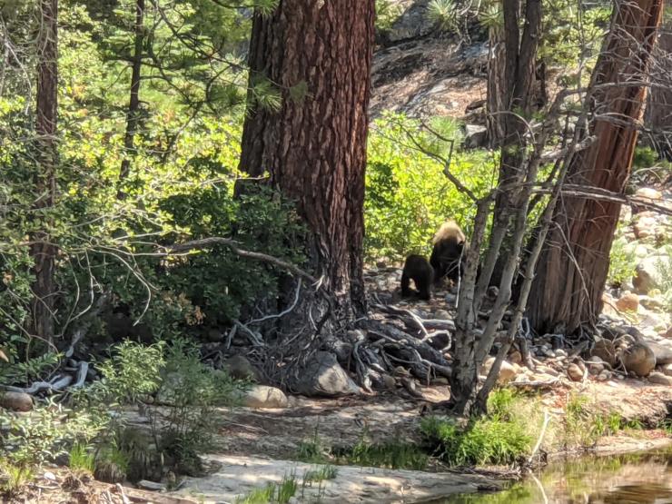 MVIMG_20200817_120742