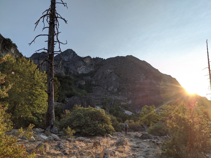 MVIMG_20200818_072811